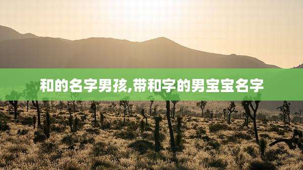 和的名字男孩,带和字的男宝宝名字