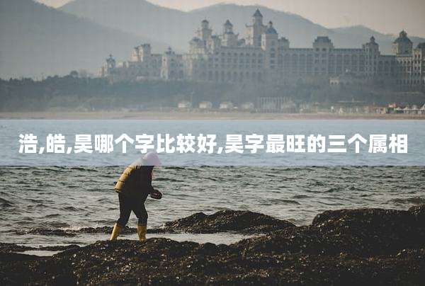 浩,皓,昊哪个字比较好,昊字最旺的三个属相
