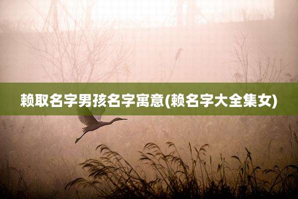 赖取名字男孩名字寓意(赖名字大全集女)