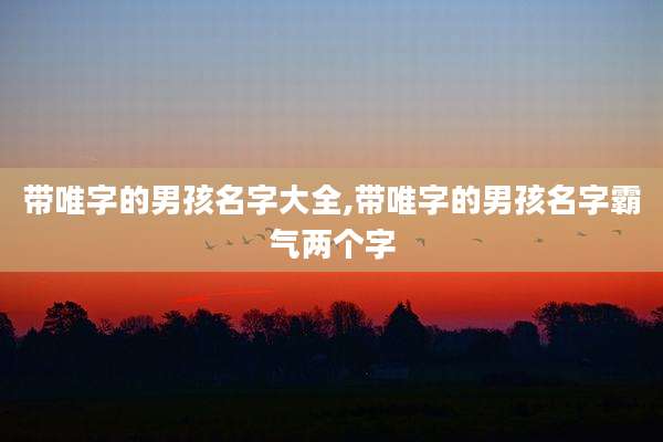 带唯字的男孩名字大全,带唯字的男孩名字霸气两个字