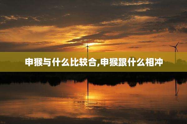申猴与什么比较合,申猴跟什么相冲