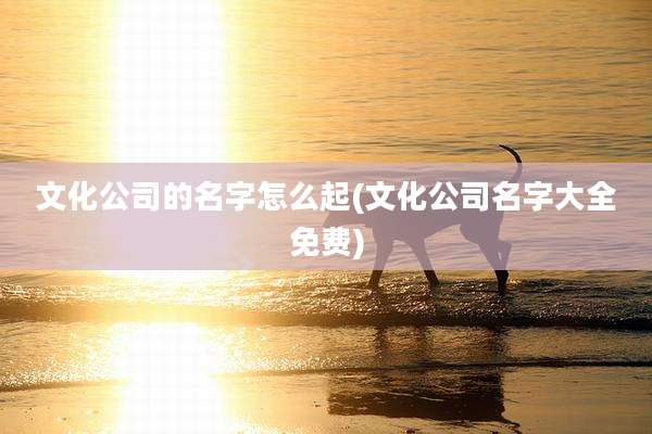文化公司的名字怎么起(文化公司名字大全免费)