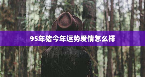 95年猪今年运势爱情怎么样