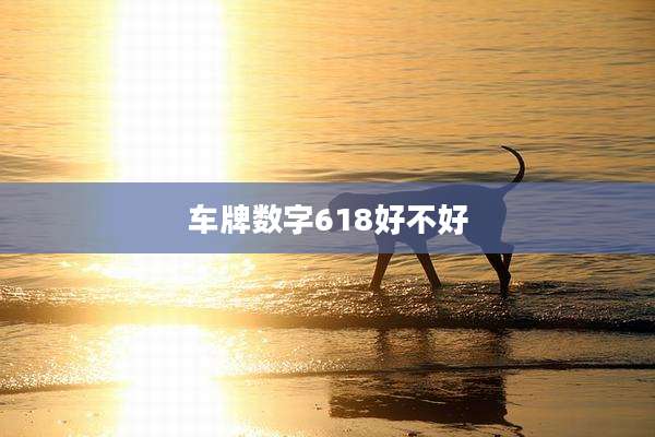 车牌数字618好不好
