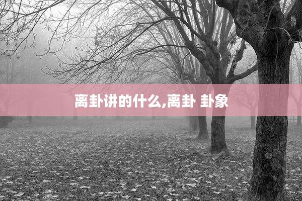 离卦讲的什么,离卦 卦象