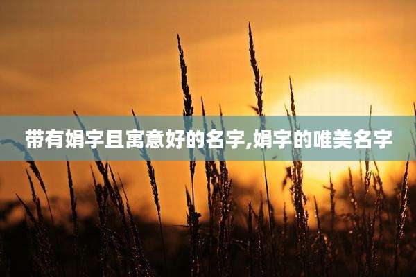 带有娟字且寓意好的名字,娟字的唯美名字