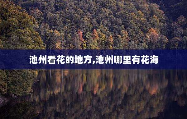 池州看花的地方,池州哪里有花海