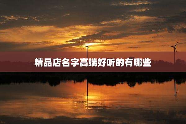 精品店名字高端好听的有哪些