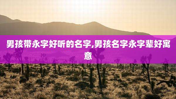 男孩带永字好听的名字,男孩名字永字辈好寓意