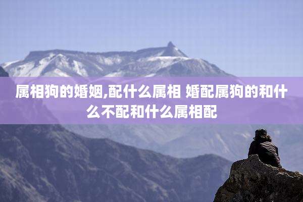 属相狗的婚姻,配什么属相 婚配属狗的和什么不配和什么属相配