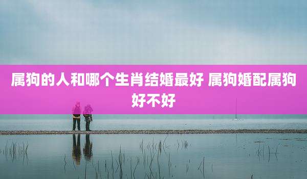 属狗的人和哪个生肖结婚最好 属狗婚配属狗好不好