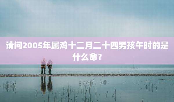 请问2005年属鸡十二月二十四男孩午时的是什么命？