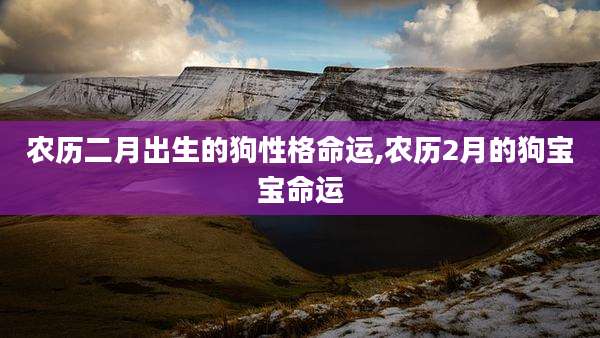 农历二月出生的狗性格命运,农历2月的狗宝宝命运