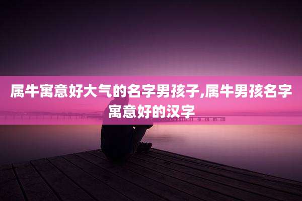属牛寓意好大气的名字男孩子,属牛男孩名字寓意好的汉字