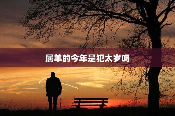 属羊的今年是犯太岁吗
