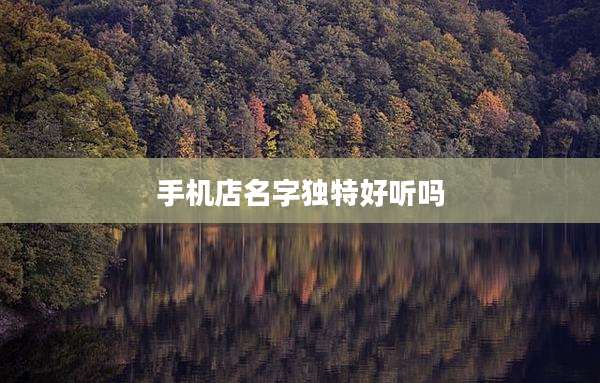 手机店名字独特好听吗