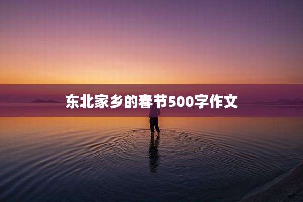 东北家乡的春节500字作文