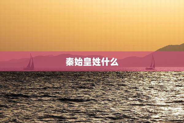秦始皇姓什么