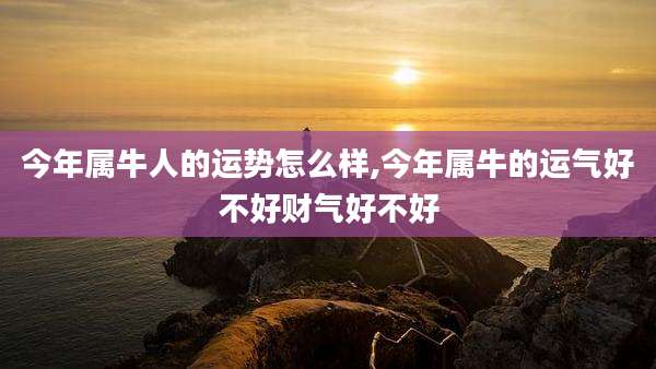 今年属牛人的运势怎么样,今年属牛的运气好不好财气好不好
