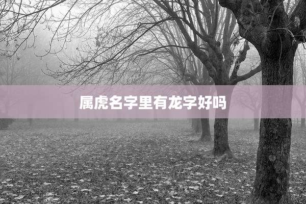 属虎名字里有龙字好吗