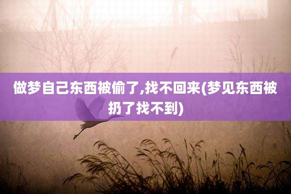 做梦自己东西被偷了,找不回来(梦见东西被扔了找不到)