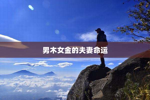 男木女金的夫妻命运