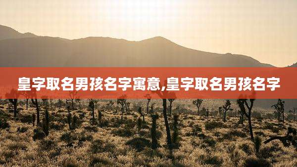 皇字取名男孩名字寓意,皇字取名男孩名字