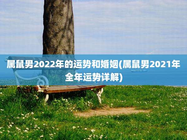 属鼠男2022年的运势和婚姻(属鼠男2021年全年运势详解)