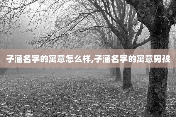子涵名字的寓意怎么样,子涵名字的寓意男孩