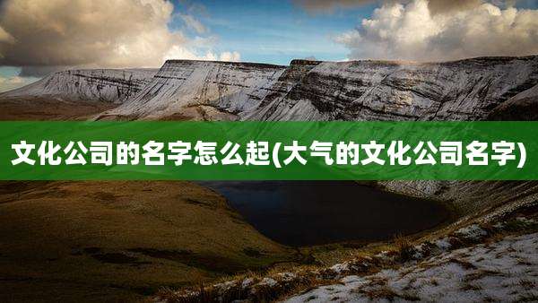 文化公司的名字怎么起(大气的文化公司名字)