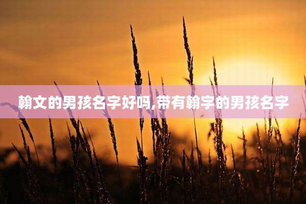 翰文的男孩名字好吗,带有翰字的男孩名字