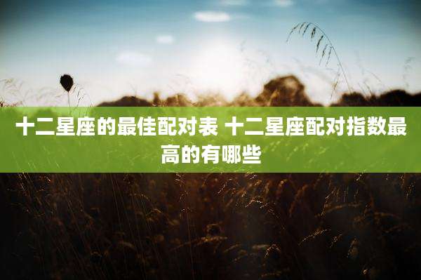 十二星座的最佳配对表 十二星座配对指数最高的有哪些