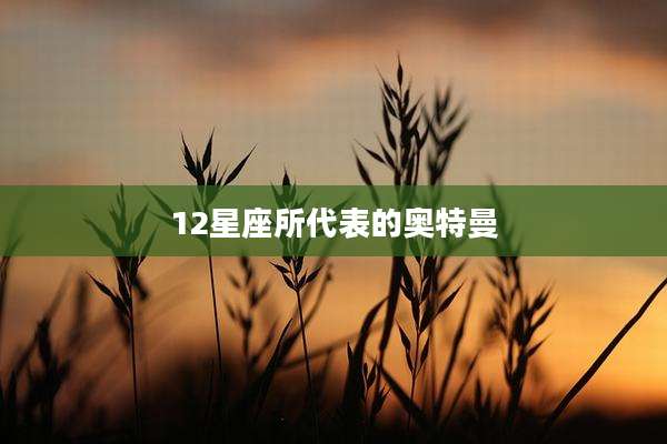 12星座所代表的奥特曼