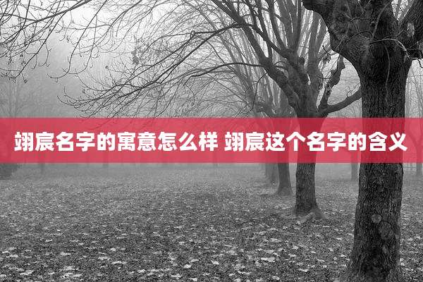 翊宸名字的寓意怎么样 翊宸这个名字的含义