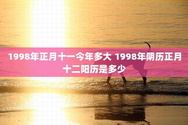 1998年正月十一今年多大 1998年阴历正月十二阳历是多少