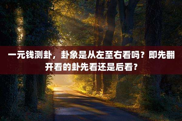 一元钱测卦,卦象是从左至右看吗?即先翻开看的卦先看还是后看?