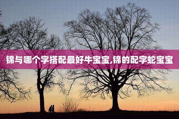 锦与哪个字搭配最好牛宝宝,锦的配字蛇宝宝