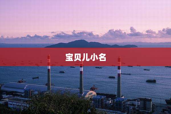 宝贝儿小名