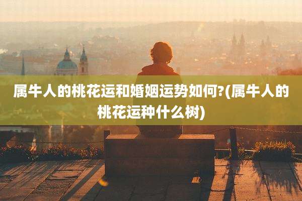 属牛人的桃花运和婚姻运势如何?(属牛人的桃花运种什么树)
