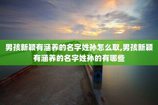 男孩新颖有涵养的名字姓孙怎么取,男孩新颖有涵养的名字姓孙的有哪些