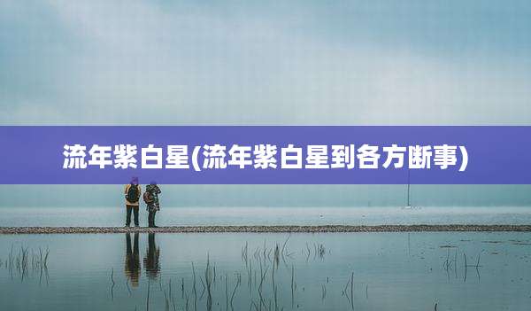 流年紫白星(流年紫白星到各方断事)
