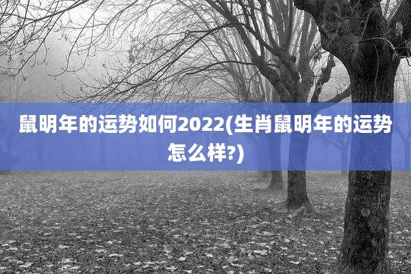 鼠明年的运势如何2022(生肖鼠明年的运势怎么样?)