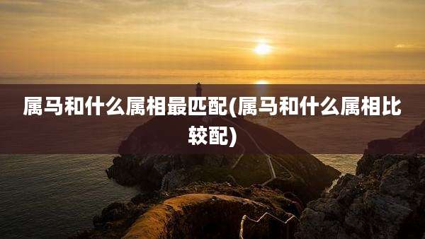 属马和什么属相最匹配(属马和什么属相比较配)
