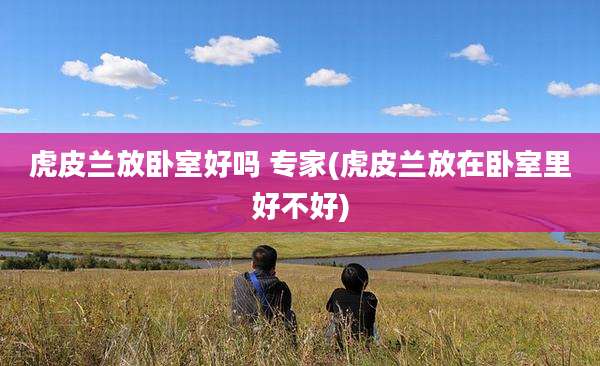 虎皮兰放卧室好吗 专家(虎皮兰放在卧室里好不好)