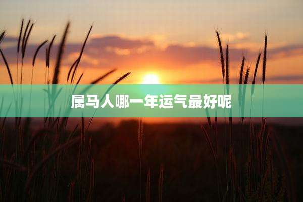 属马人哪一年运气最好呢