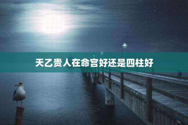 天乙贵人在命宫好还是四柱好