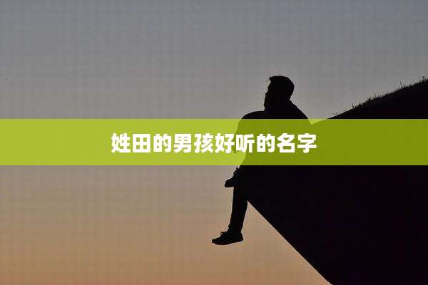 姓田的男孩好听的名字