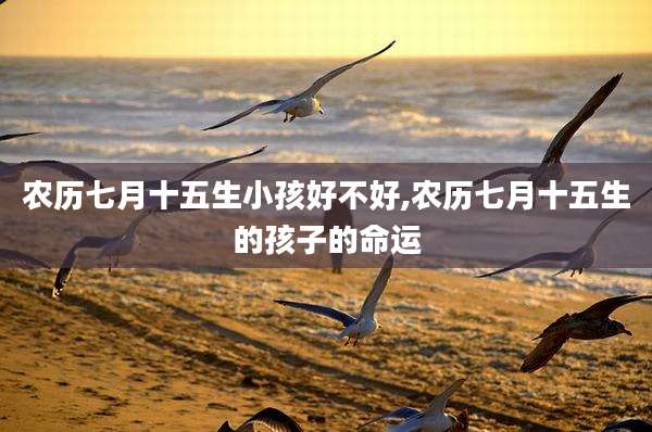 农历七月十五生小孩好不好,农历七月十五生的孩子的命运