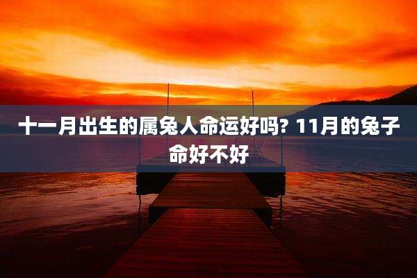 十一月出生的属兔人命运好吗? 11月的兔子命好不好