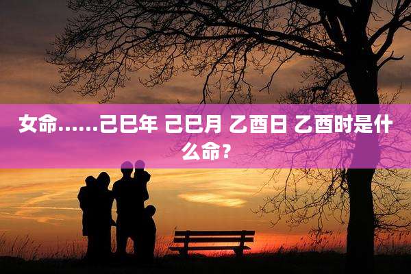 女命……己巳年 己巳月 乙酉日 乙酉时是什么命?